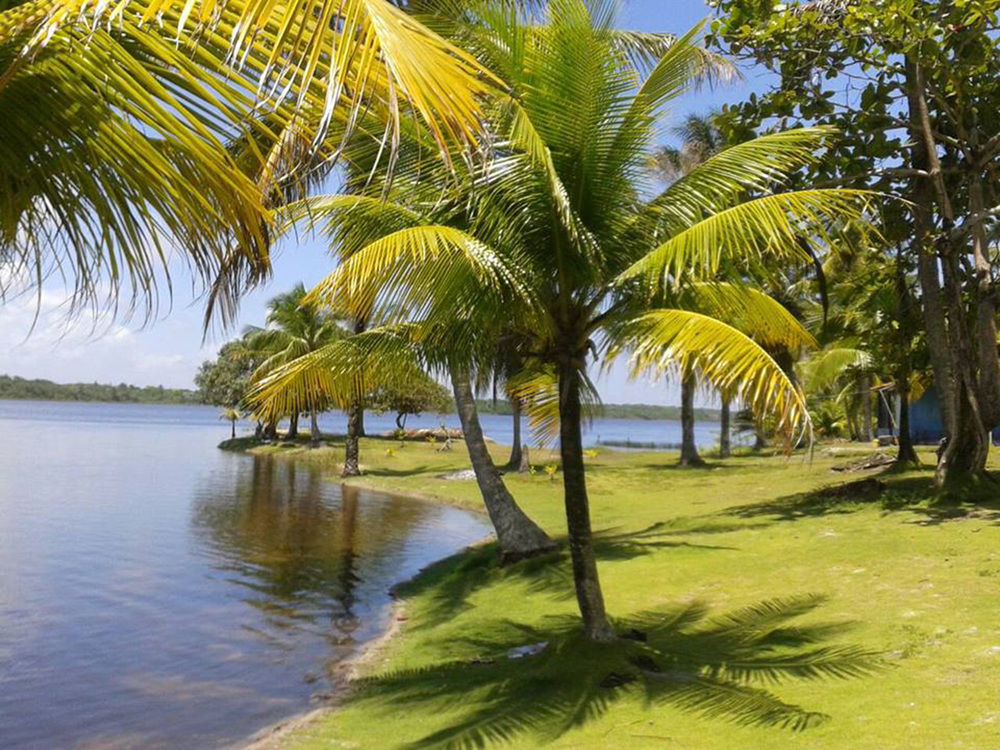 Htl Tubarao Hotel Barra Grande  Bagian luar foto