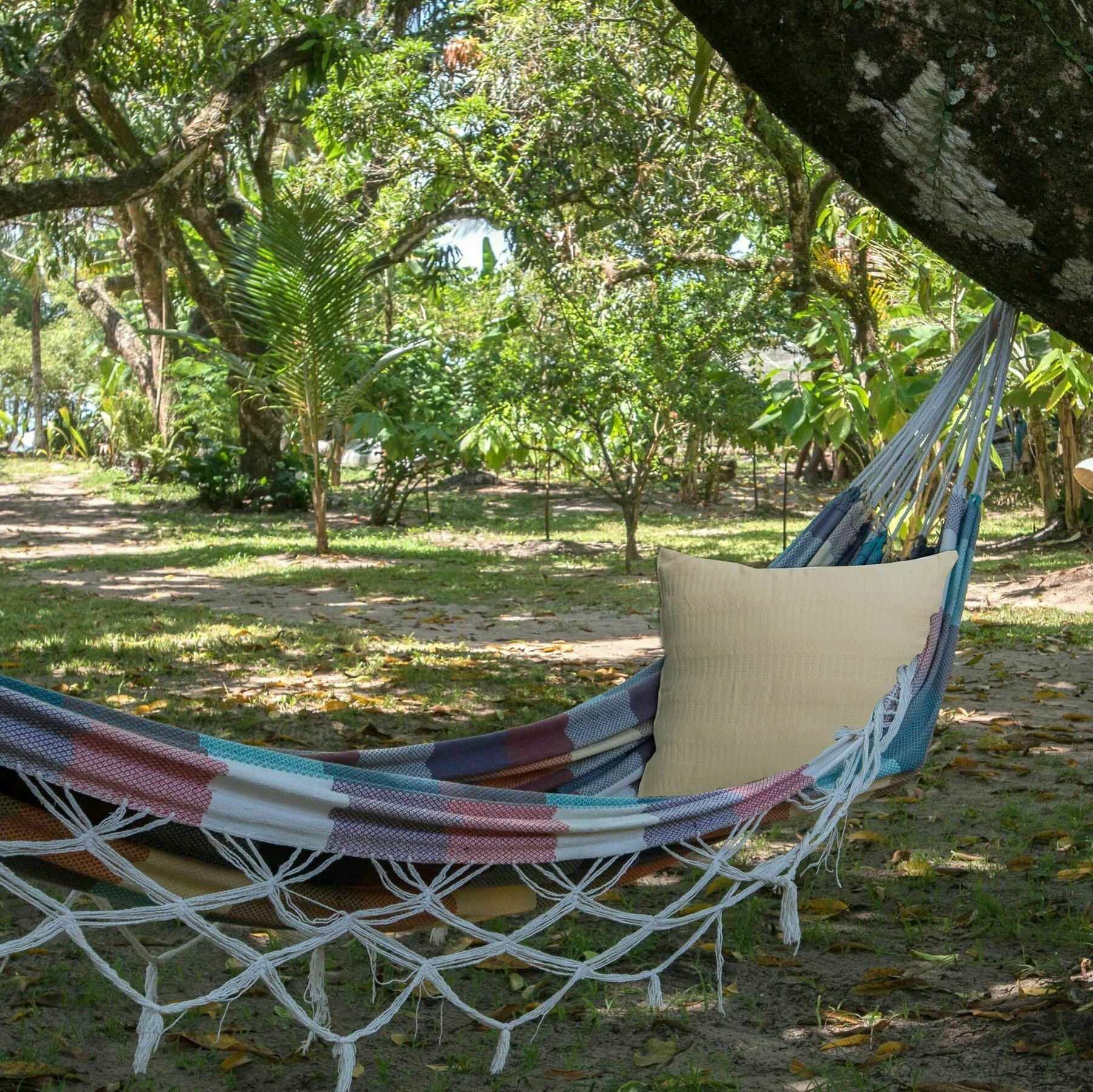 Htl Tubarao Hotel Barra Grande  Bagian luar foto
